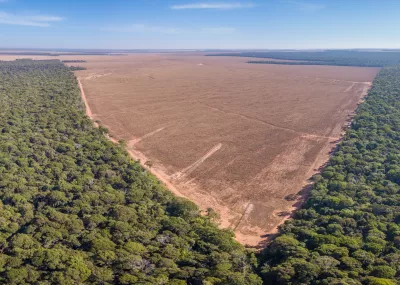 The European Ecological Intervention